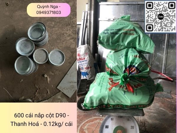 Năp cột lưới thép hàng rào - tại dự án Thanh Hoá